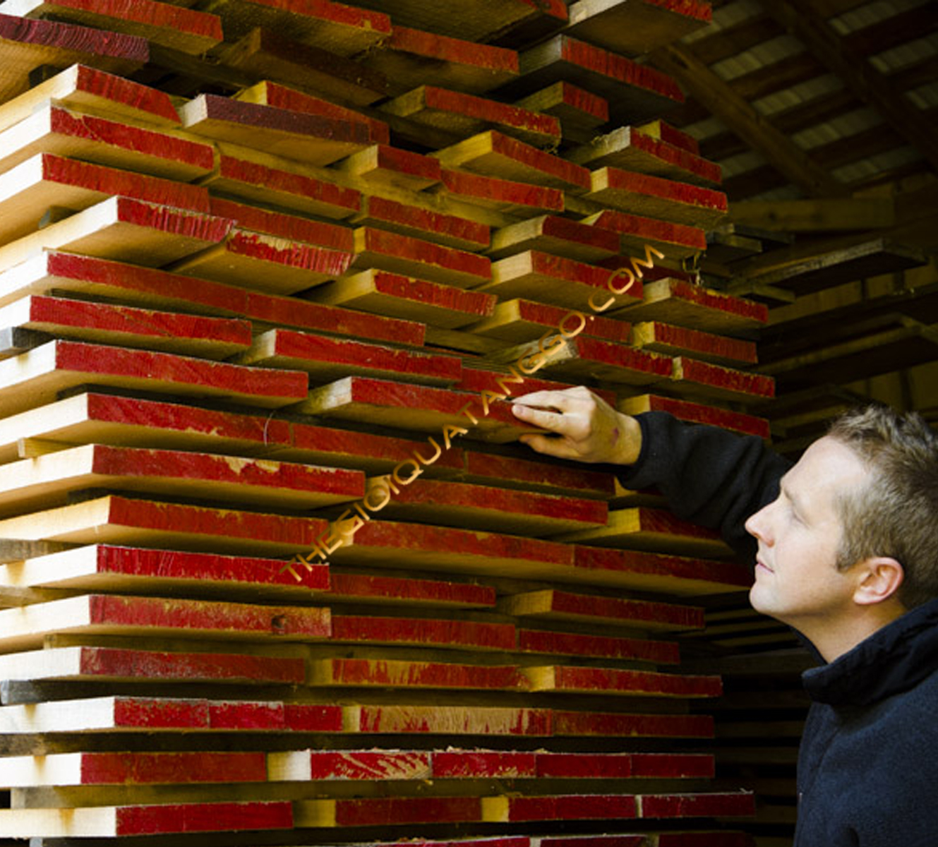 Các xưởng sản xuất sẽ chọn nguyên liệu để làm quà tặng gỗ