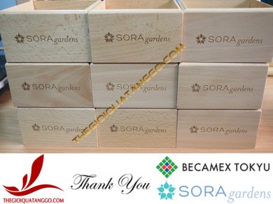 Khách hàng tiêu biểu – Công Ty TNHH Becamex Tokyu đặt khay gỗ beech cho dự án mới Sora gardens