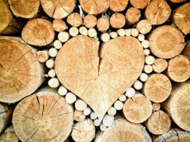 Loại gỗ nào chuyên làm quà tặng đồ gỗ mỹ nghệ?