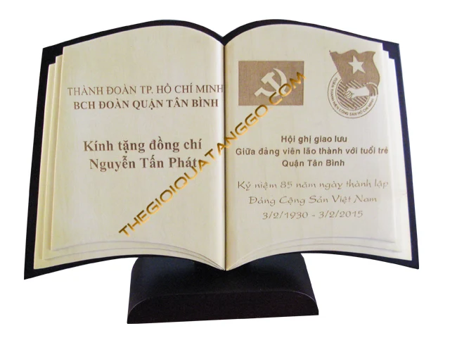 Kỷ Niệm Chương Gỗ Đoàn Thanh Niên