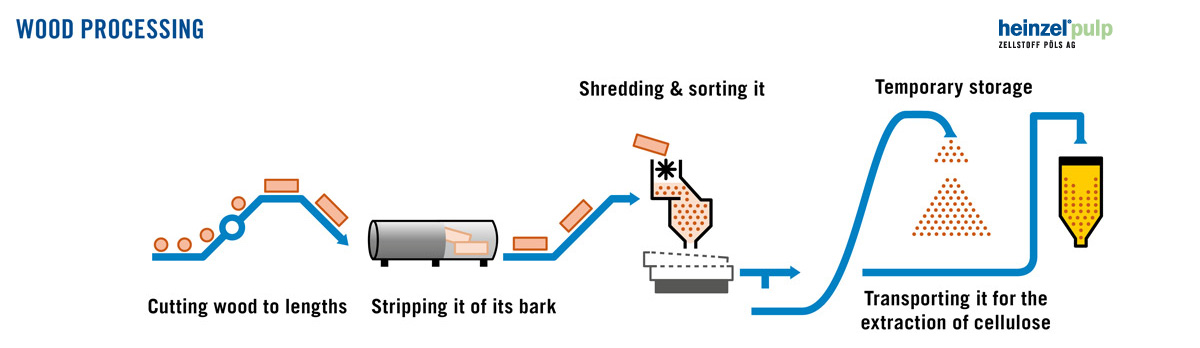 Quy trình xử lý gỗ Quy trình xử lý gỗ