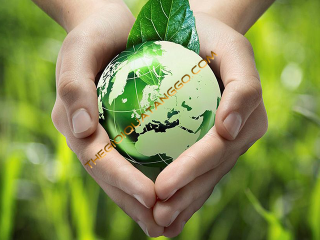 Xu hướng quà tặng gỗ dịp lễ 30/4 - Sản phẩm thân thiện với môi trường Xu hướng quà tặng gỗ dịp lễ 30/4 - Sản phẩm thân thiện với môi trường